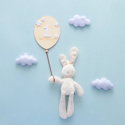 2Pcs Baby Wooden Balloon Milestone Cards - Photography Accessories for Newborns